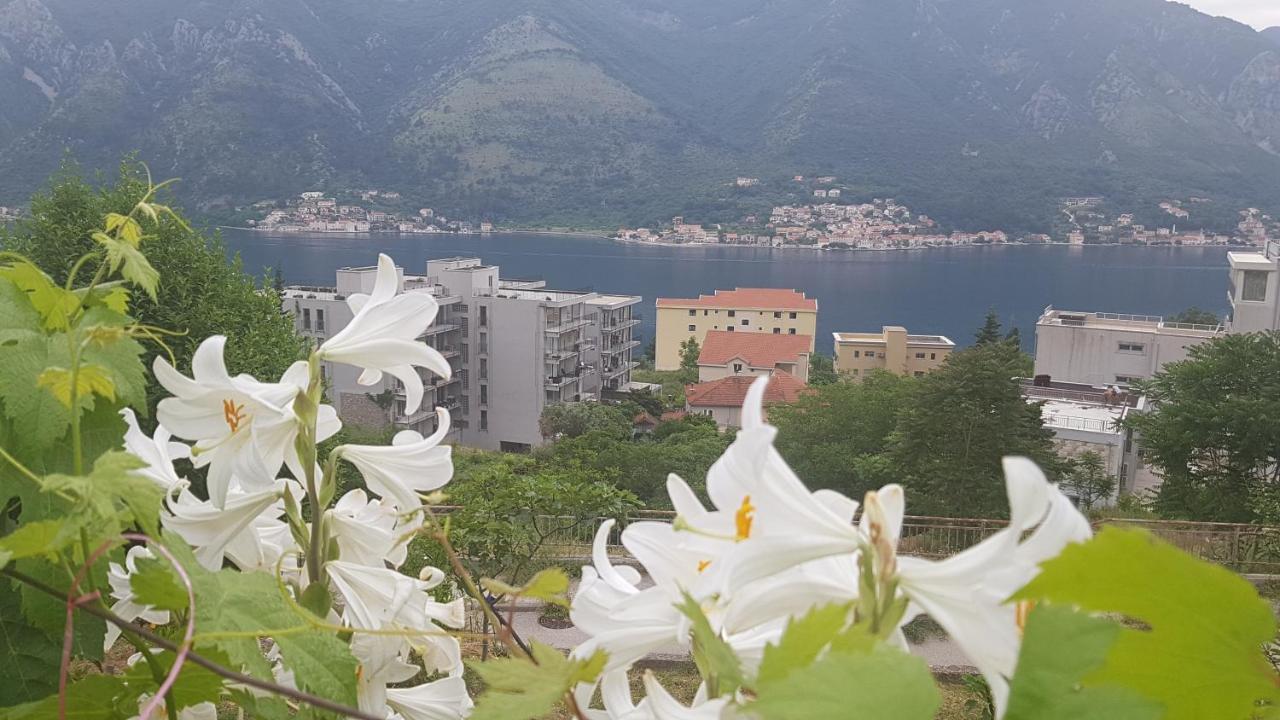 Apartment Jelena Kotor Exterior foto